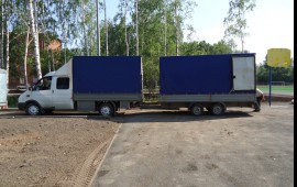 Газель Волдай Бычек