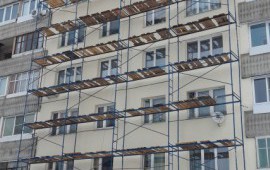 Сдаем леса в аренду