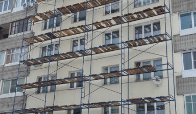Сдаем леса в аренду