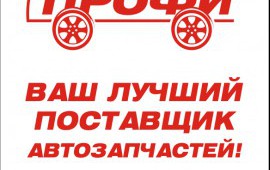 Эвакуатор