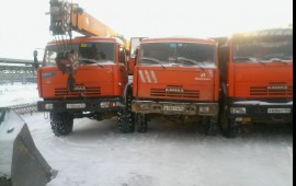 Сдам в аренду