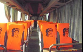 Пассажирские перевозки