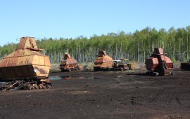 Торф низинный (плодородный)