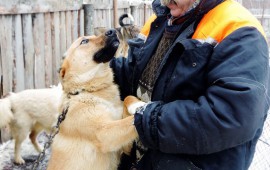 Жуков Николай Викторович