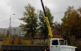 Услуги манипулятора