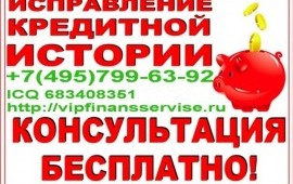 Профессиональная помощь в получении документов