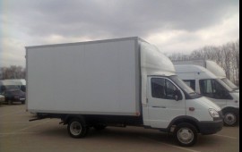 Газель