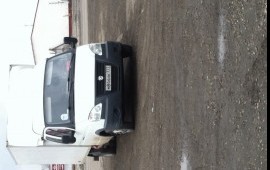 Газель