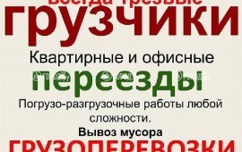 Грузовик в Дальнегорске