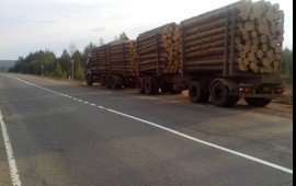 Услуги лесовоза