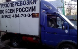 Газель