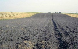Чернозём , экологически чистый ! Из рязанск.обл.