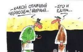Чернозем, грунт, навоз