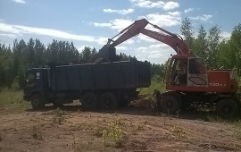 Услуги