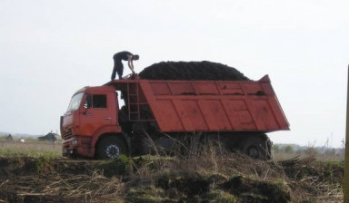 Чернозем, торфогрунт
