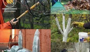 Обрезка деревьев, Спил, Вспашка