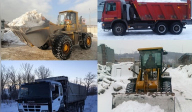 Уборка и вывоз снега и мусора в Елизово