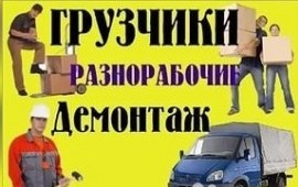 Опытные трезвые грузчики