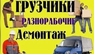 Опытные трезвые грузчики