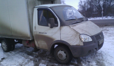 Газель реф +5-20