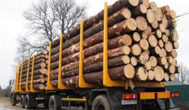 Прицеп лесовоз CIMC 20 тонн