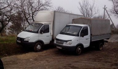 Газель