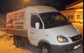 Газель