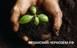 Высококачественный Рязанский чернозем с доставкой