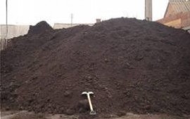 Различные смеси под газон