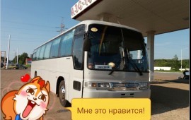 Перевозка пассажиров