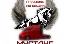 Грузовые перевозки любой сложности по России