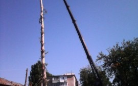 Аренда Автовышка DAEWOO NOVUS