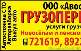 Грузовое авто грузчики