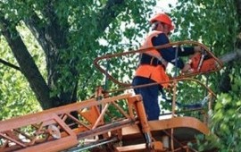 Услуги автовышки