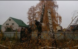Вырубка деревьев, благоустройство. в Аргуне