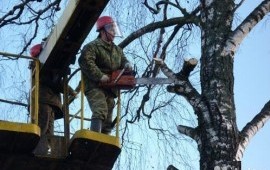 Спил деревьев, благоустройство. в Гудермесе