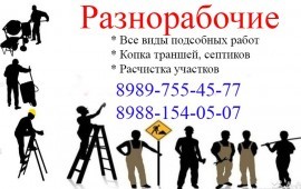 Разнорабочие