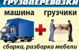 Грузоперевозки