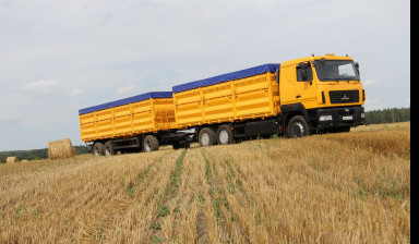 Зерновозы с перегрузом