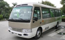 Автобусы заказ, услуги микроавтобусы