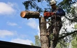 Благоустройство территории в Каменке