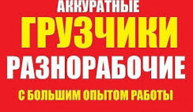 Переезды, услуги грузчиков в Суздале