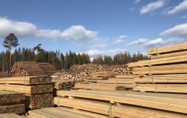 Лиственница сибирская