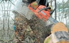 Расчистка участка. Спил. Корчевание