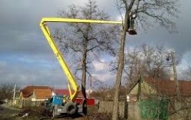 Расчистка территории от деревьев в Лесном