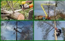 Благоустройство участков в Сасово