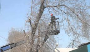 Благоустройство озеленение и уборка участка