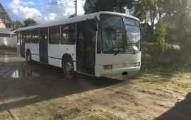 Городской автобус пассажирские перевозки