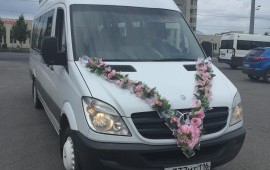 Автобусы мерседес пассажирские перевозки