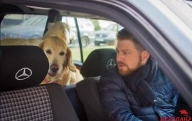 ZOOTAXI74